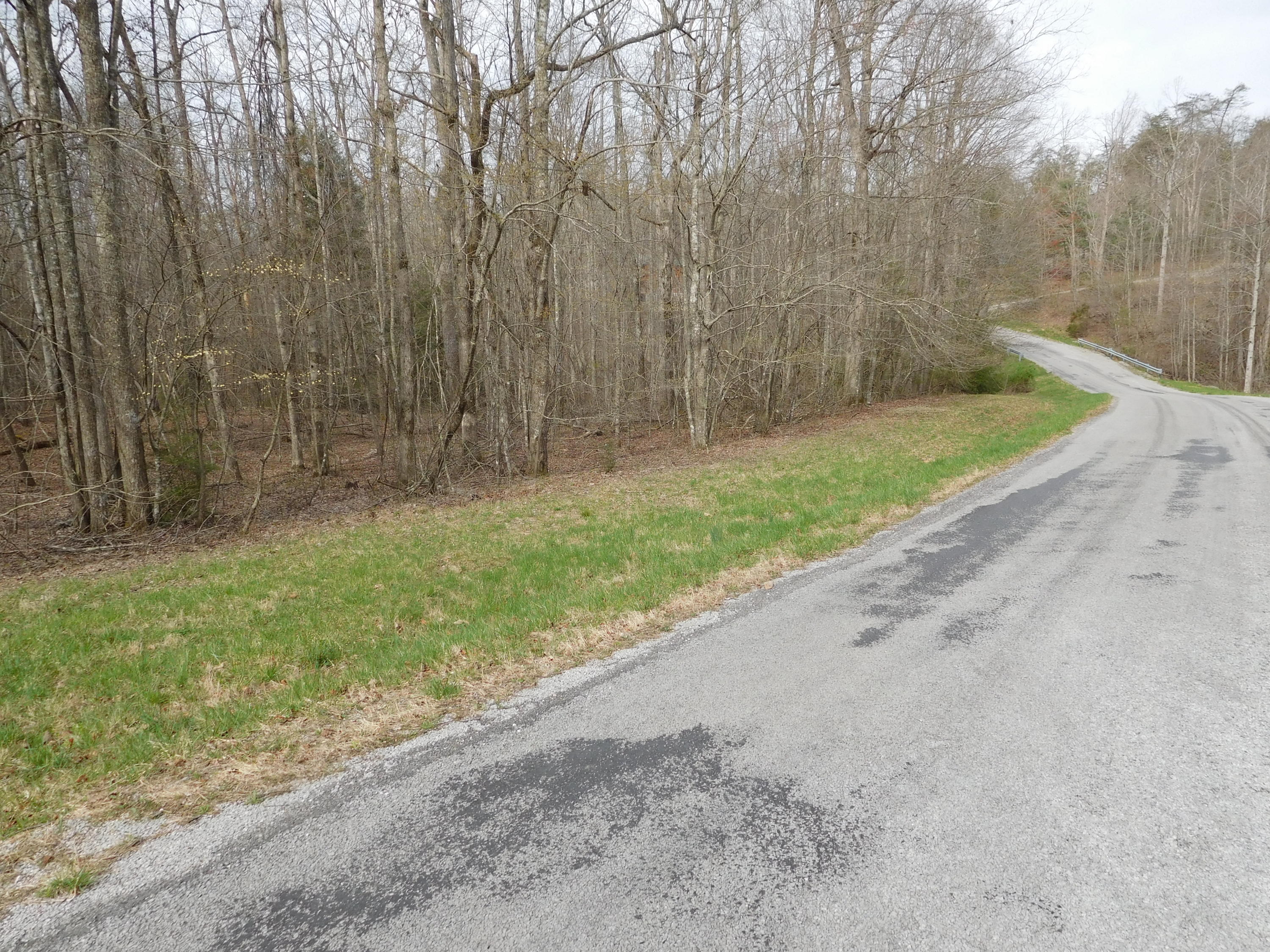 East Cove Road, Unit 3 Monterey, TN 38574 - Photo 2 of 4 DSCN1482