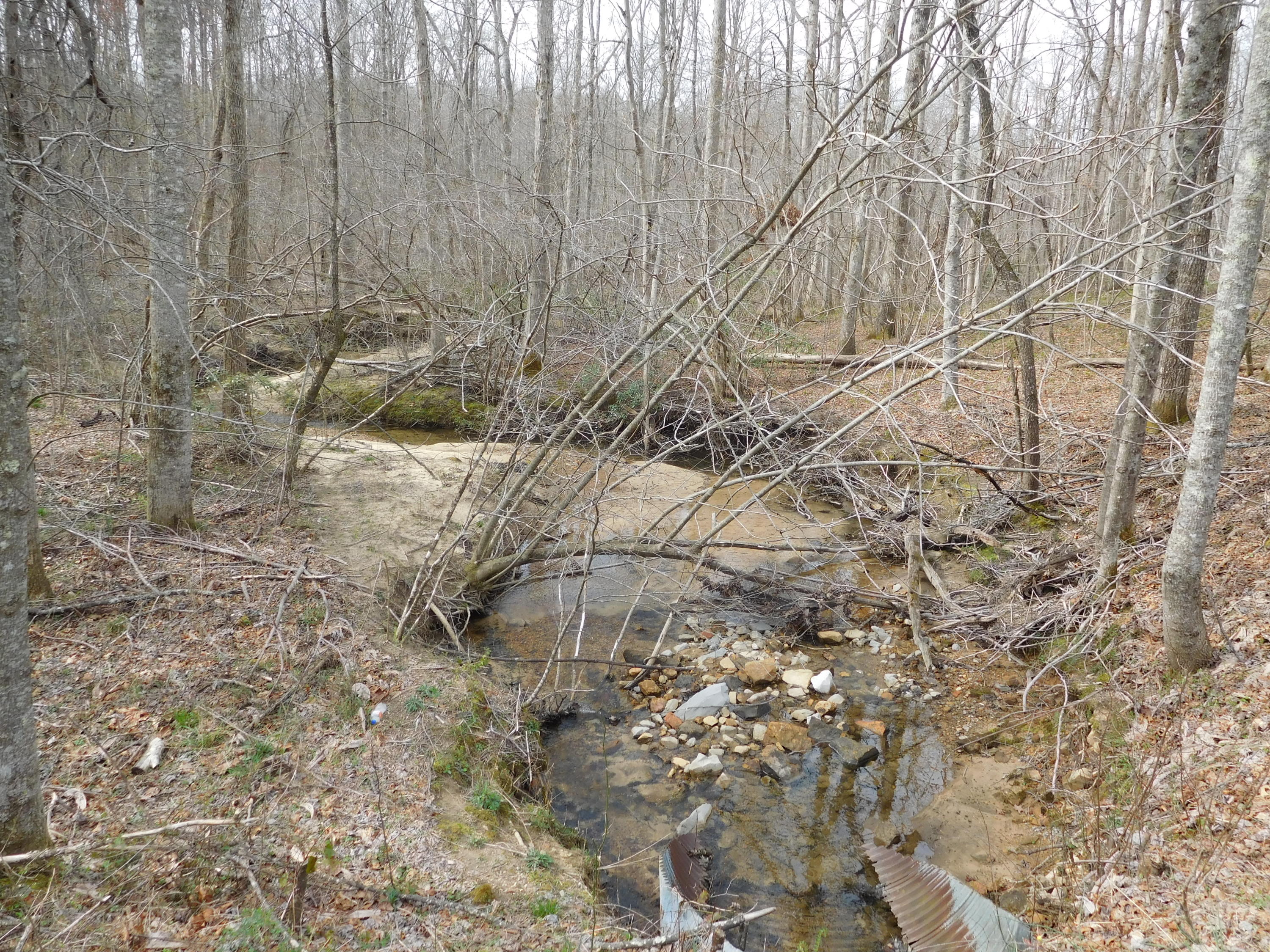 East Cove Road, Unit 3 Monterey, TN 38574 - Photo 3 of 4 DSCN1485