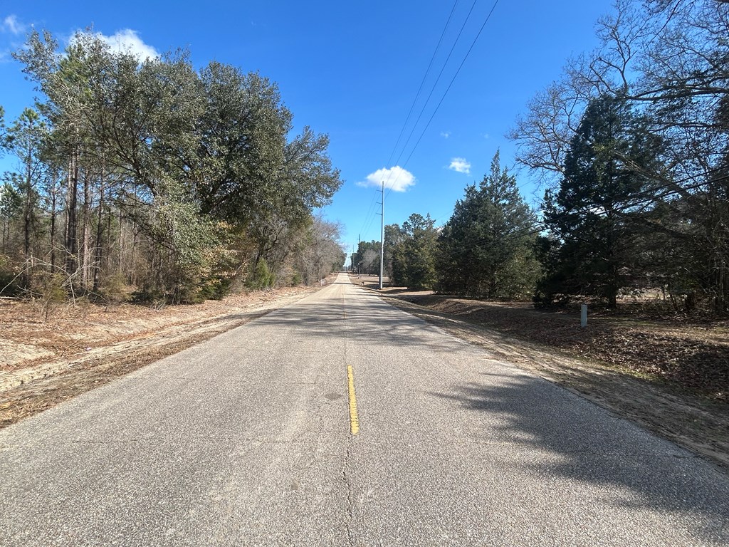 Lot 3-15 -ac Cottonwood Rd/ Phillips Road Cottonwood, AL 36320 - Photo 27 of 49