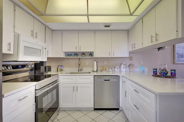 a garden with palm trees