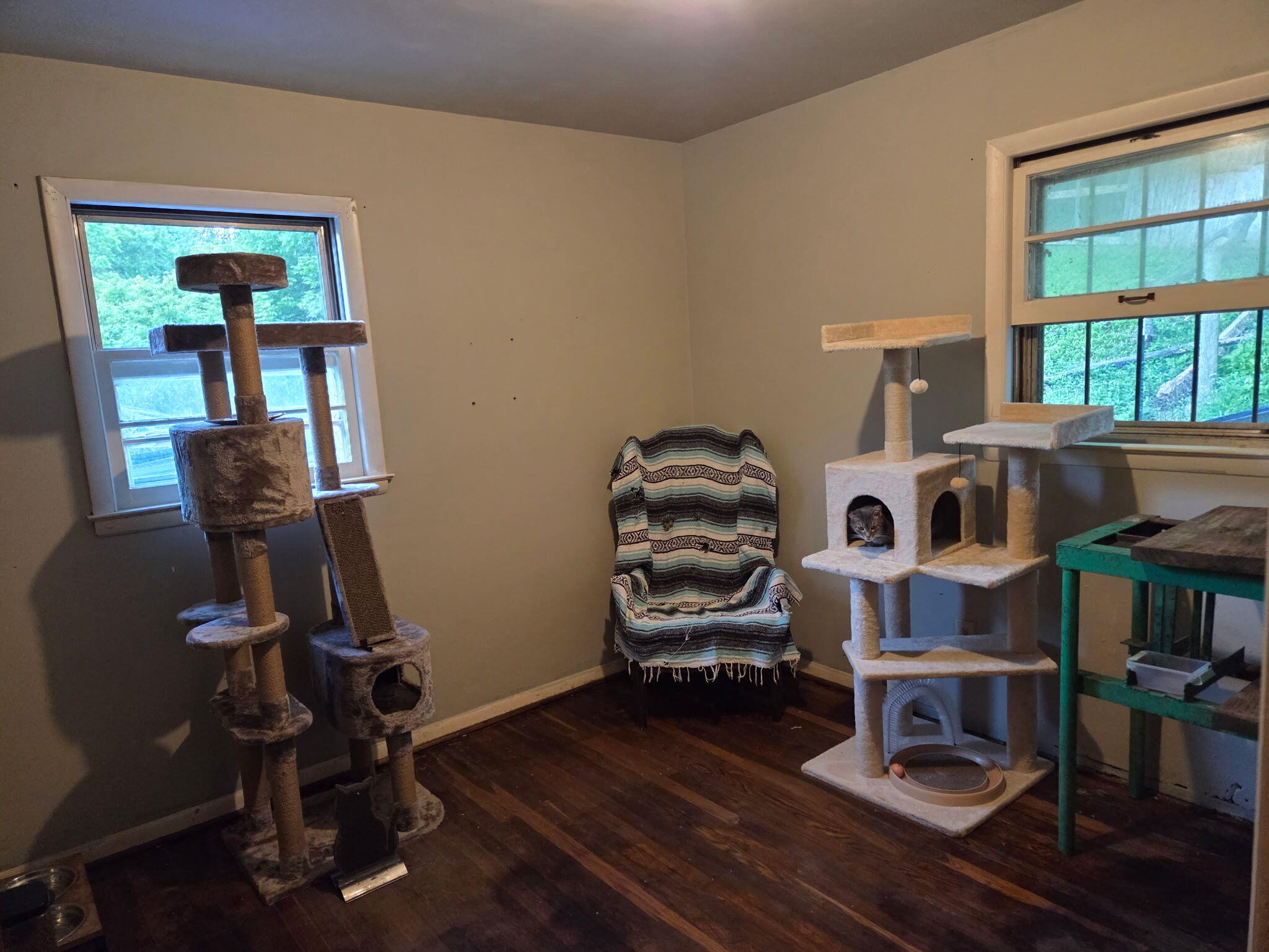 4401 Dry Branch Road Lexington, KY 40515 - Photo 23 of 29 1000024057