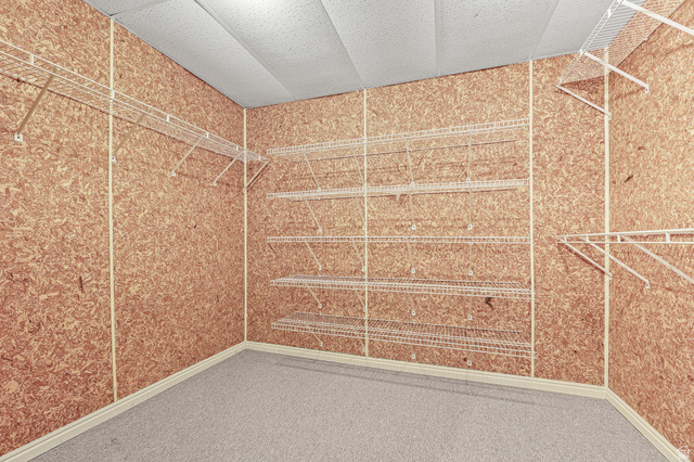 4117 North Wolf Ridge Circle Eden, UT 84310 - Photo 42 of 63 Dedicated storage room featuring extensive wire shelving systems and light gray carpeting