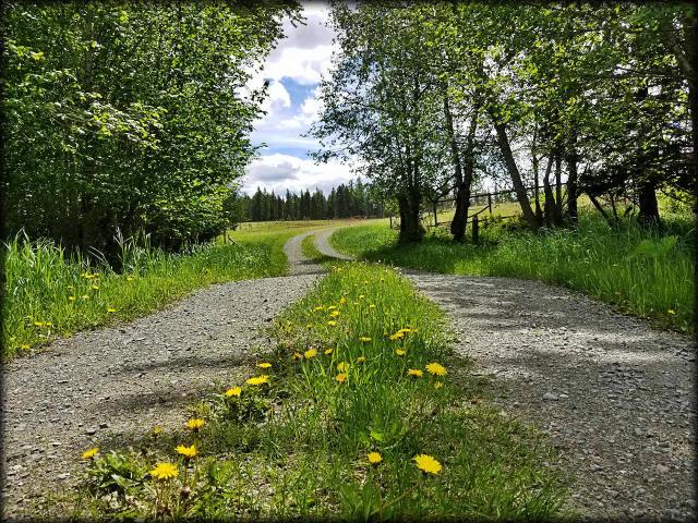 743 Lindsay Road Colville, WA 99114 - Photo 2 of 20