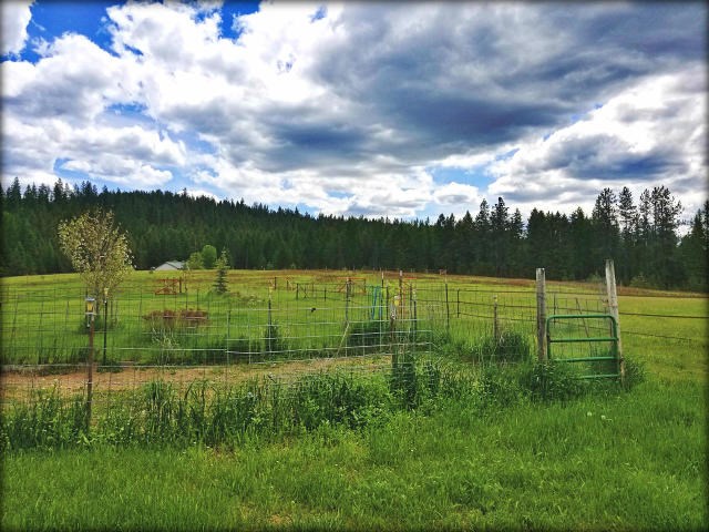 743 Lindsay Road Colville, WA 99114 - Photo 18 of 20
