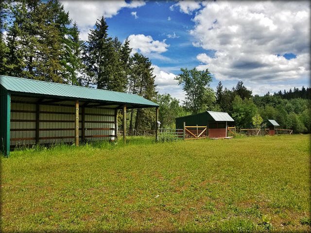 743 Lindsay Road Colville, WA 99114 - Photo 19 of 20