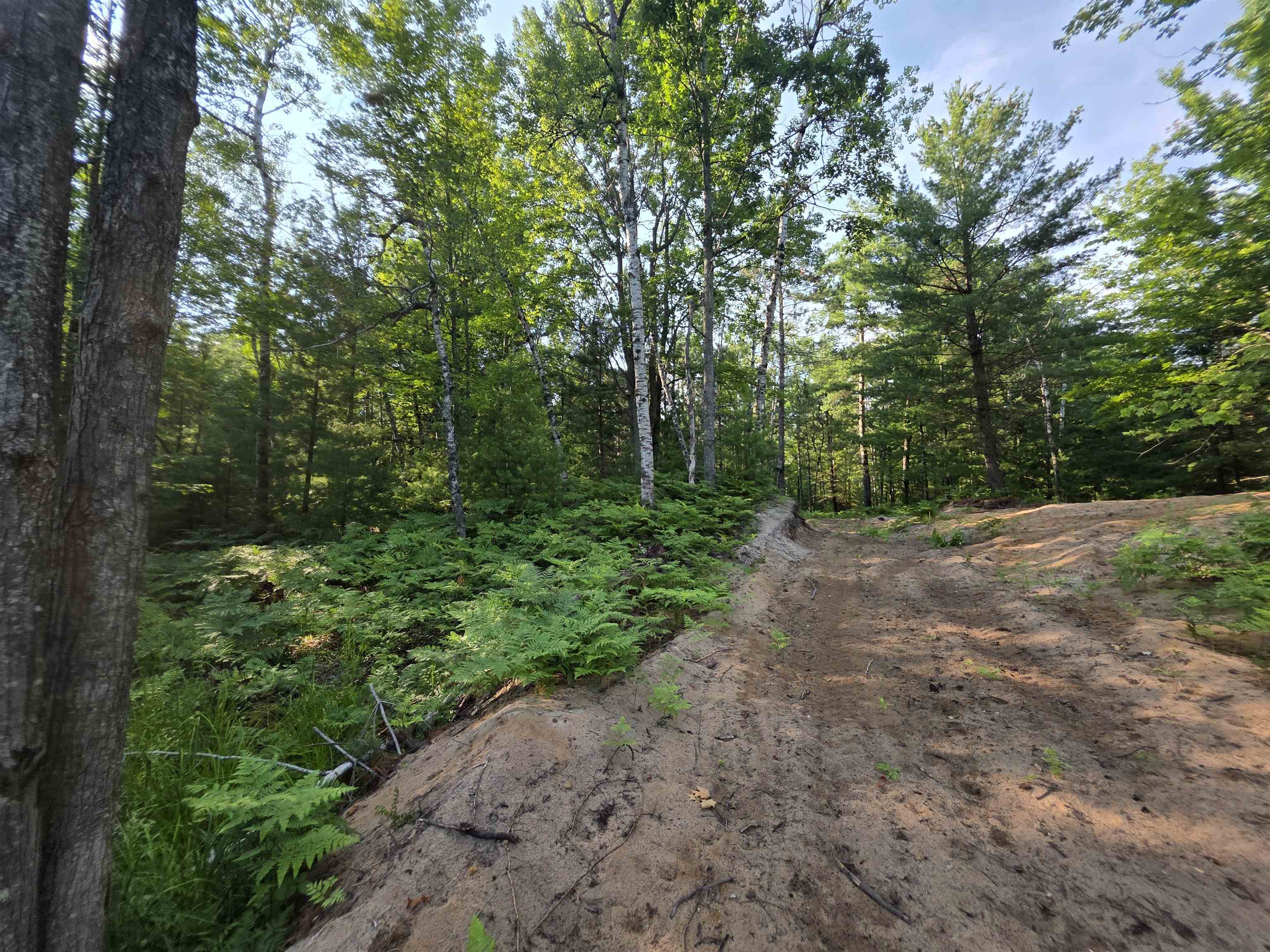 0 Arnold Road Manton, MI 49663 - Photo 46 of 63