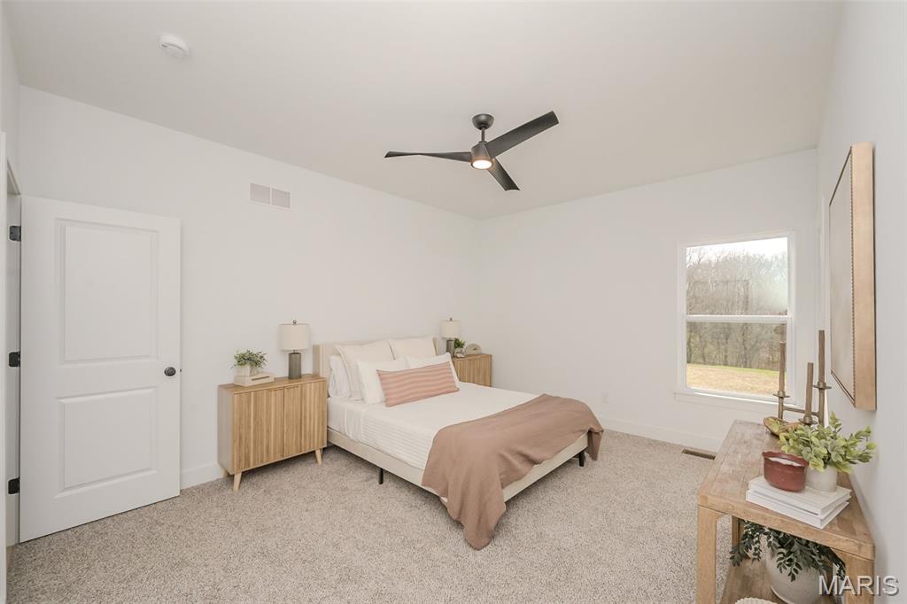 171 Sydnorville Road Troy, MO 63379 - Photo 19 of 33