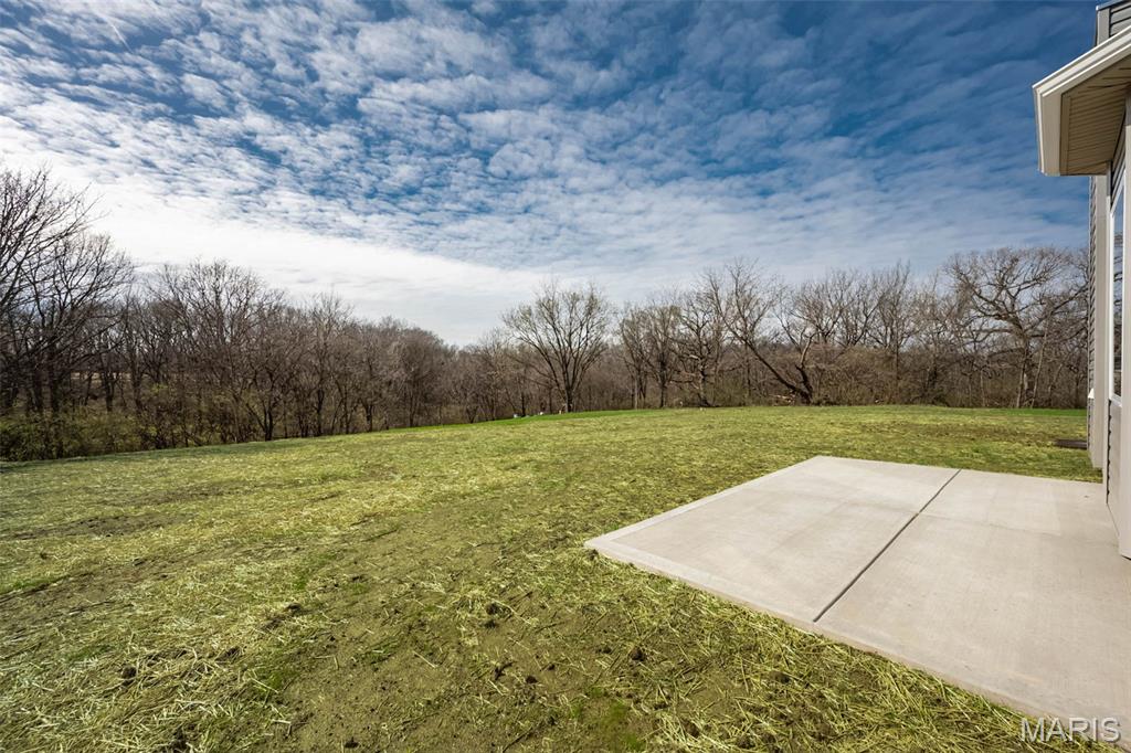 171 Sydnorville Road Troy, MO 63379 - Photo 29 of 33