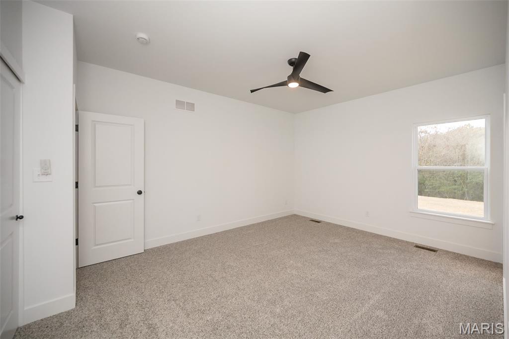 171 Sydnorville Road Troy, MO 63379 - Photo 32 of 50