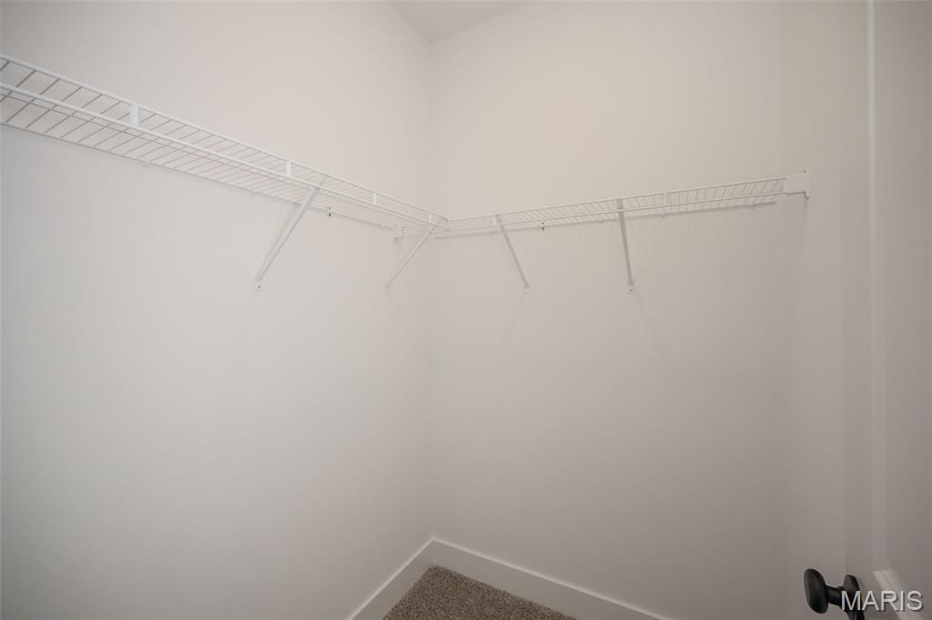 171 Sydnorville Road Troy, MO 63379 - Photo 33 of 50