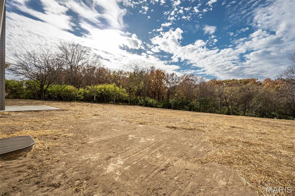 171 Sydnorville Road Troy, MO 63379 - Photo 45 of 50