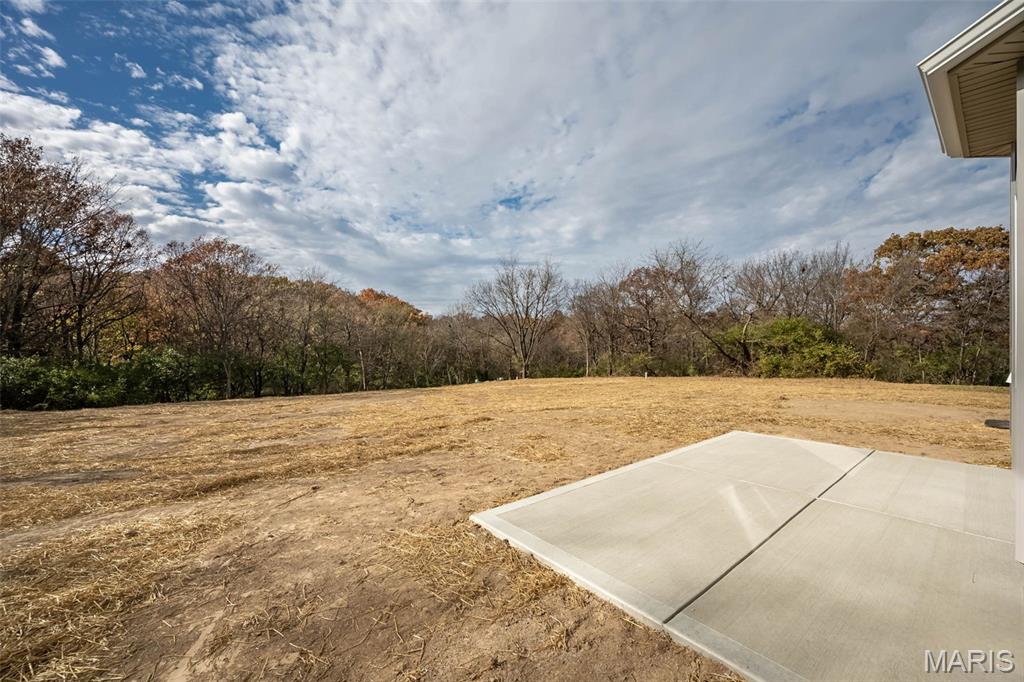 171 Sydnorville Road Troy, MO 63379 - Photo 46 of 50