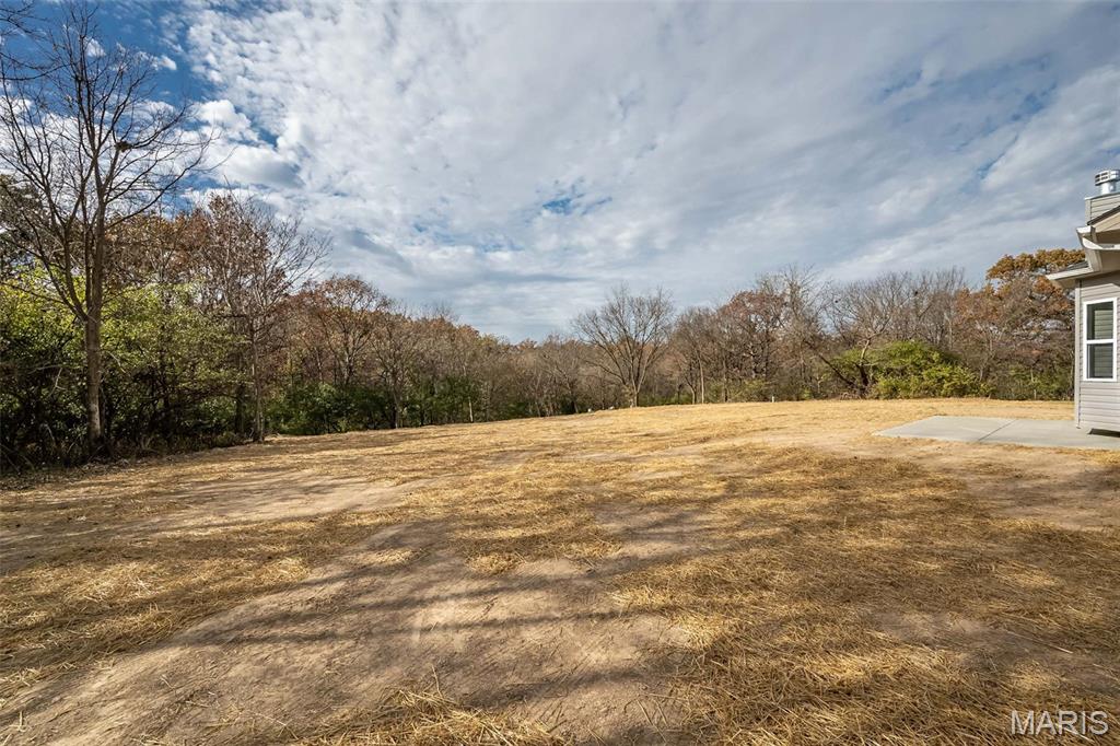 171 Sydnorville Road Troy, MO 63379 - Photo 47 of 50