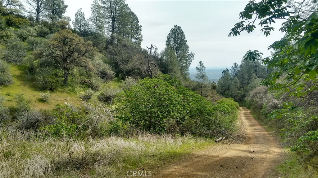 a view of a lake with green forest