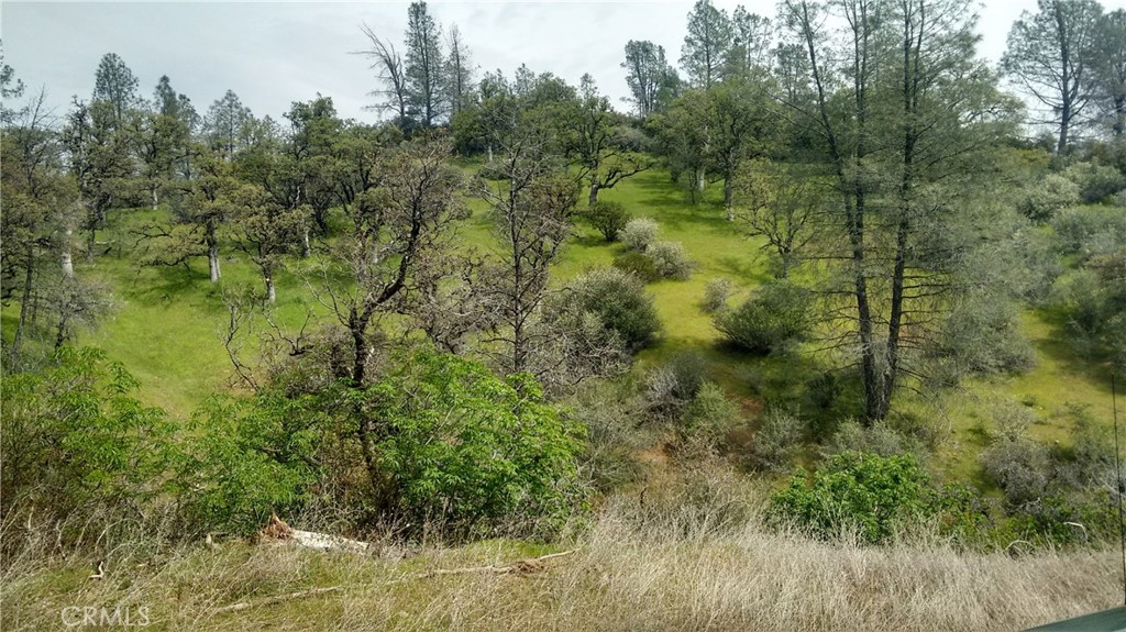0 Olympia Drive Platina, CA 96076 - Photo 2 of 11 a view of a lush green forest