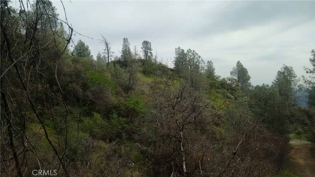 0 Olympia Drive Platina, CA 96076 - Photo 8 of 11 a view of a city with lush green forest
