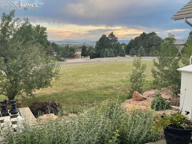 a view of a big yard with potted plants and large tree