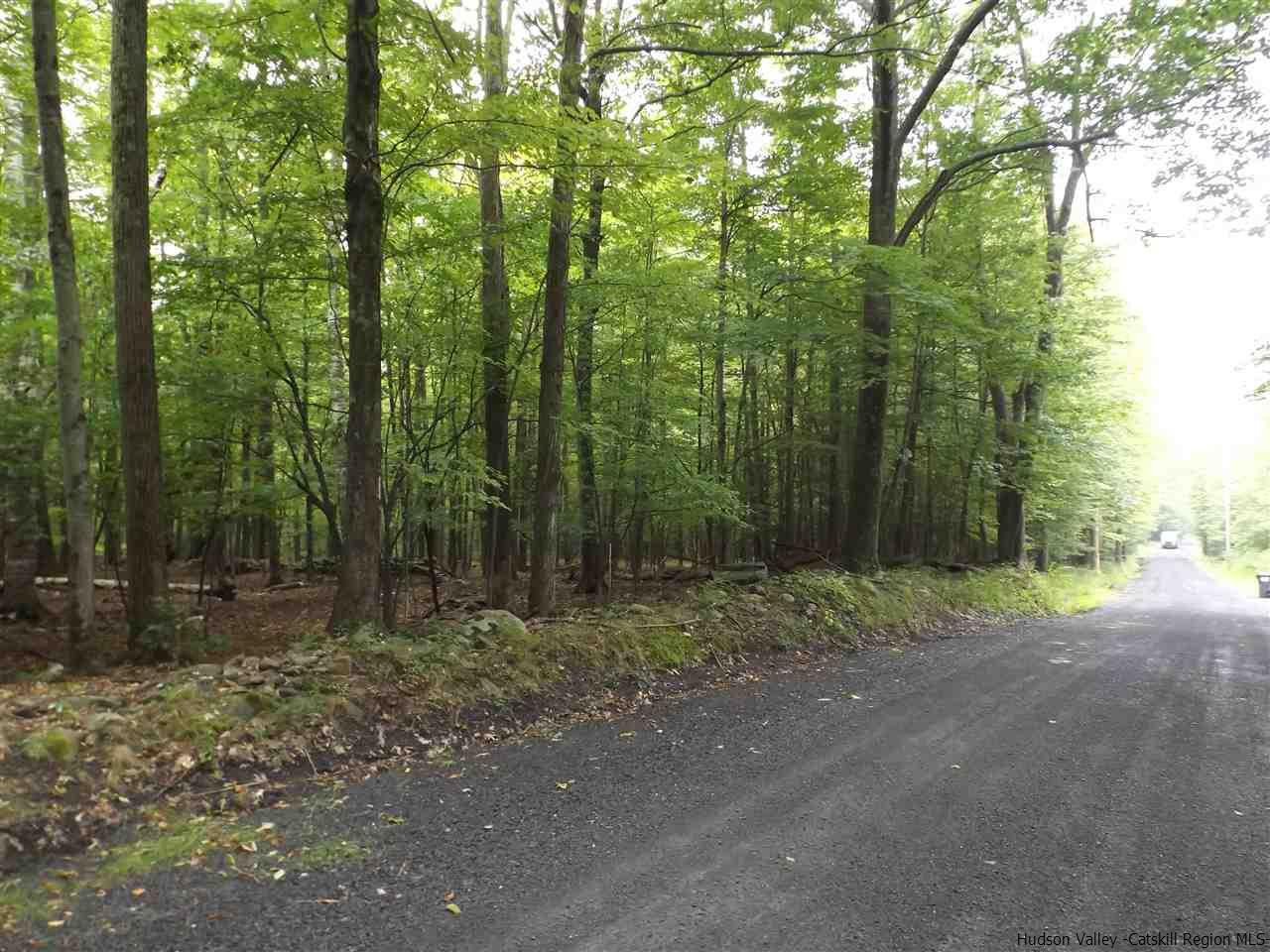 61 Cross Patch Road Willow, NY 12495 - Photo 29 of 32 Photo 29
