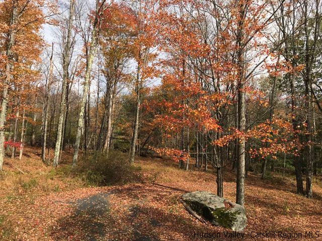 61 Cross Patch Road Willow, NY 12495 - Photo 3 of 32 Photo 3