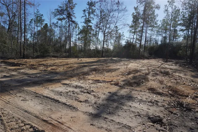 a view of outdoor space with trees