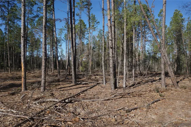 a view of a area with trees in the background