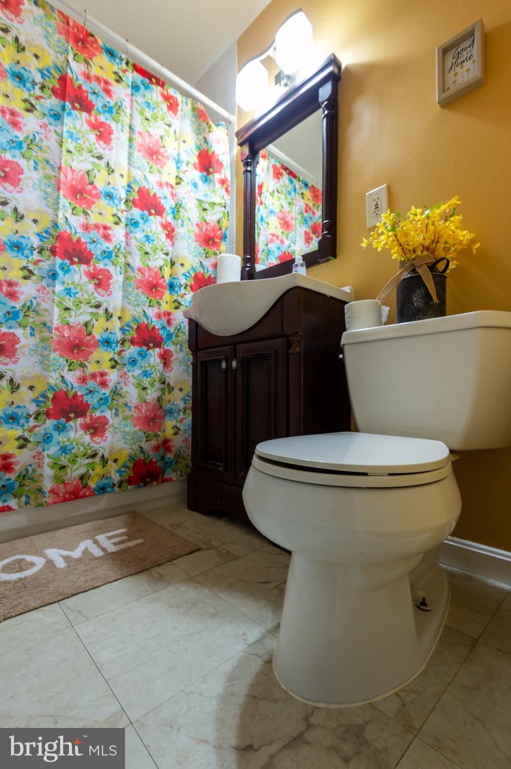 4324 2nd Road North, Unit 43242 Arlington, VA 22203 - Photo 12 of 13 Bathroom