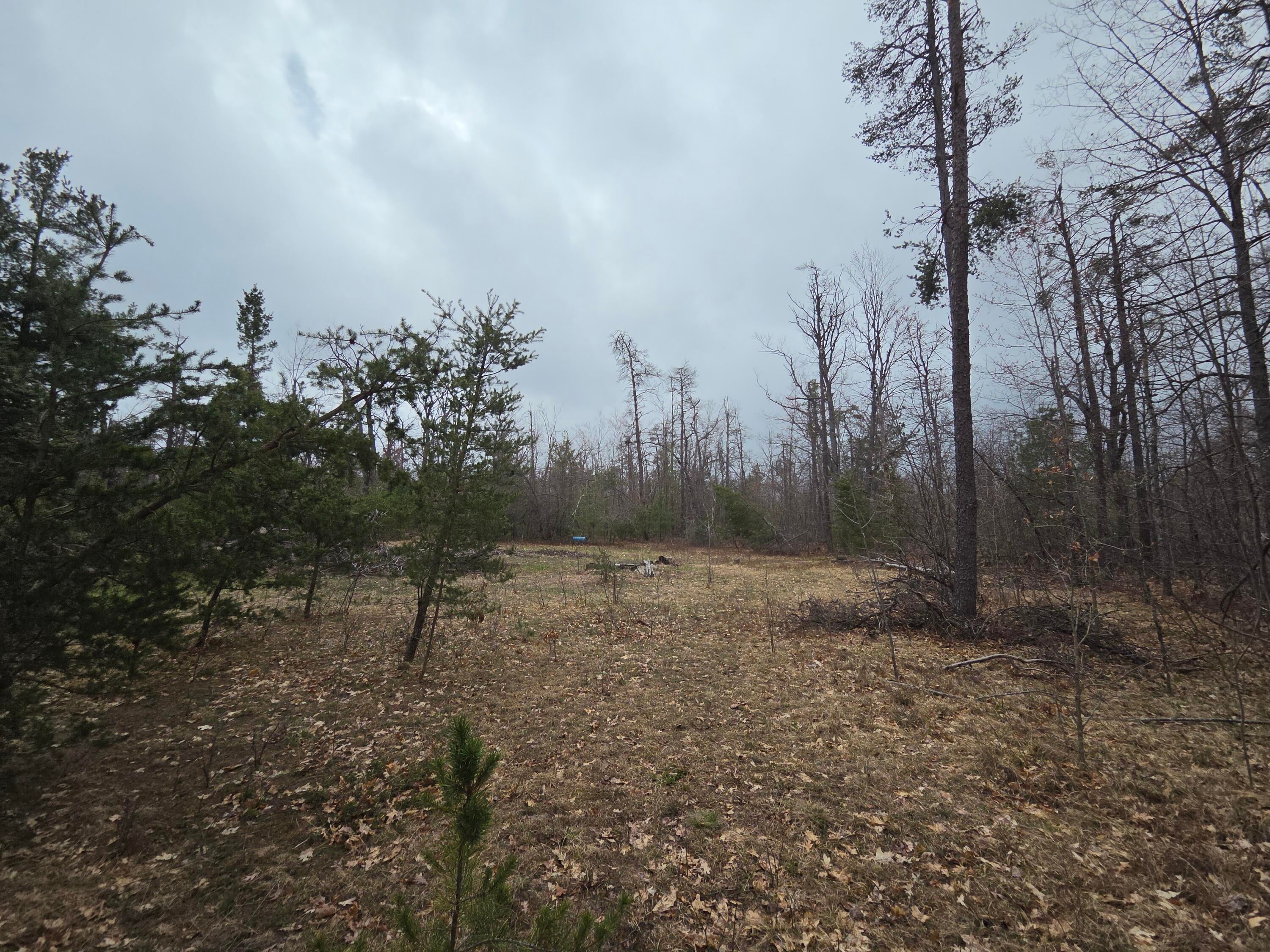 2975 Aarons Road Lewiston, MI 49756 - Photo 3 of 5 20260430_120935