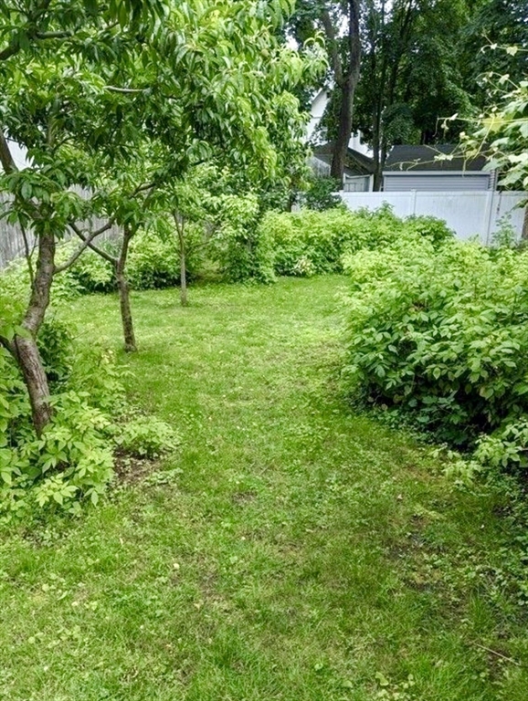 41 Payson Road, Unit 1 Belmont, MA 02478 - Photo 17 of 17