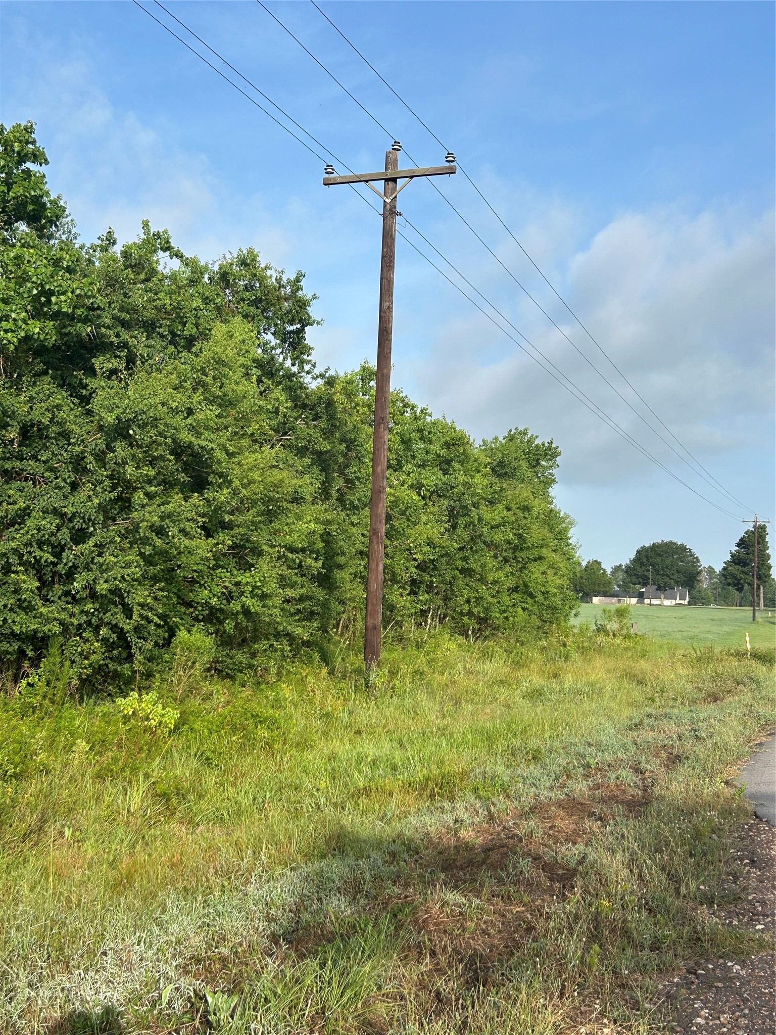 Lot 13 Pine Ridge Prairie View Prairie View, TX 77445 - Photo 4 of 6