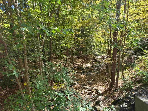 $110,000 | 1500 Brownsville-Hartland Road, West Windsor, VT 05089