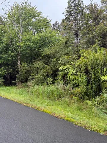 $39,000 | 11-3184-a Lot 565 Alaula Street, Pahoa, HI 96778