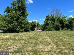 a view of a yard with an trees