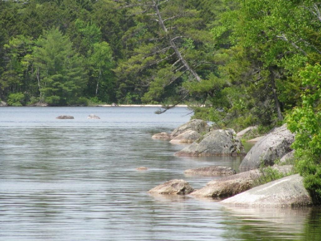35 Harvey Road Lakeville, ME 04487 - Photo 25 of 35 Spectacular lake with lots of...