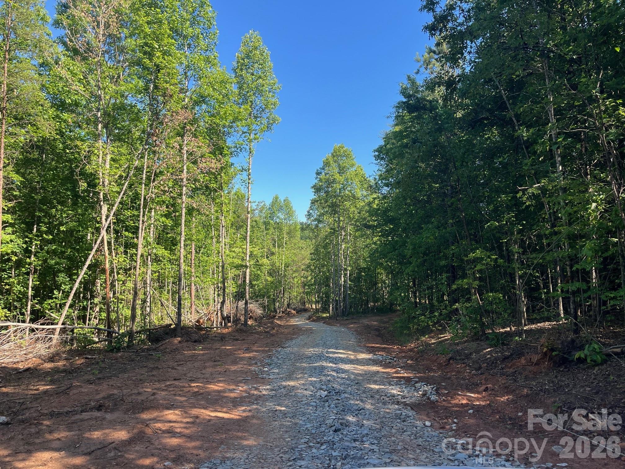 Tbd Vein Mountain Road, Unit 20 Nebo, NC 28761 - Photo 3 of 17