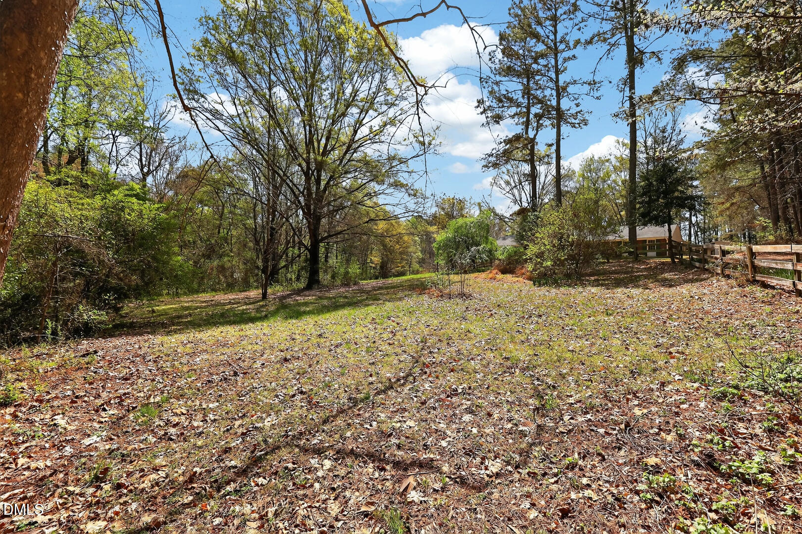 1620 Wait Avenue Wake Forest, NC 27587 - Photo 24 of 55 a view of a yard with trees