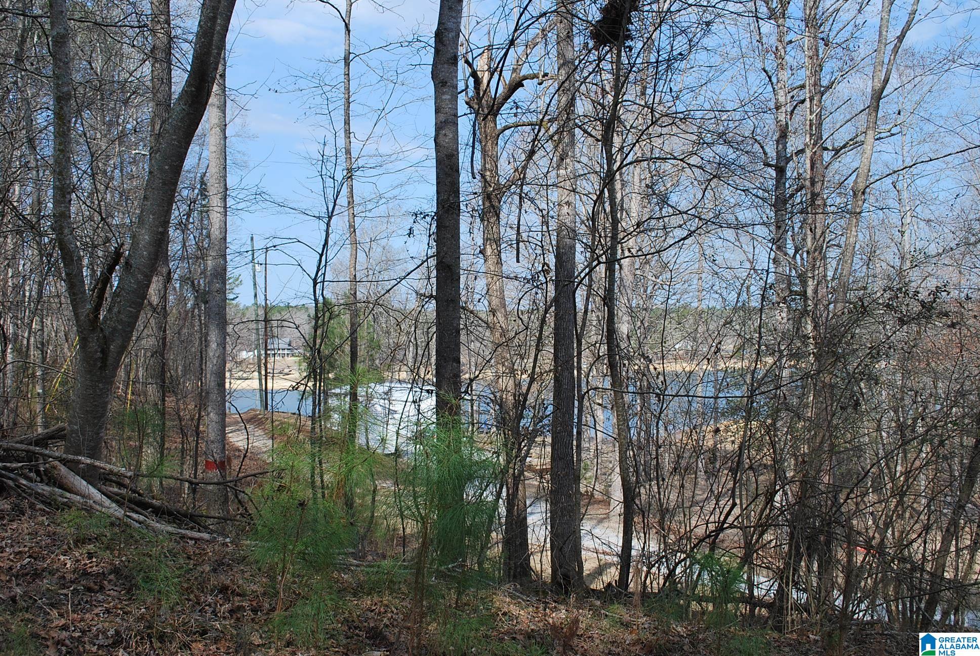 8023 County Road, Unit 8 Lineville, AL 36266 - Photo 3 of 21