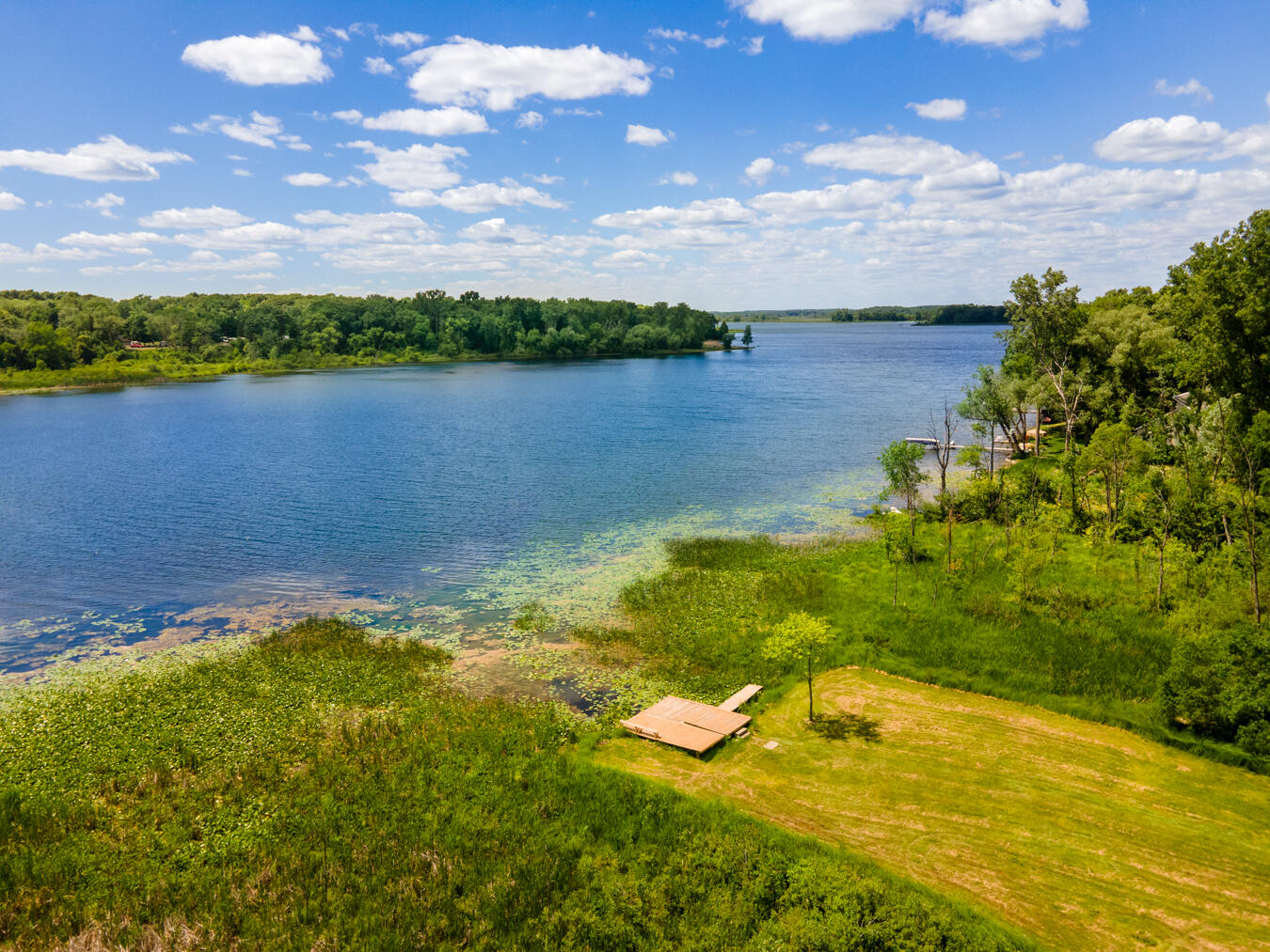 6500 Portage Lake Road Munith, MI 49259 - Photo 54 of 78 DRONE - 6500 Portage Lake Rd-02