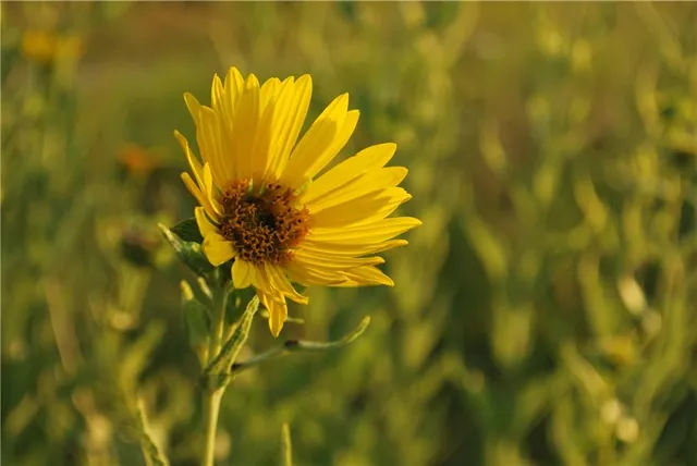 $639,400 | 0 154th Street, Valley Falls, KS 66088