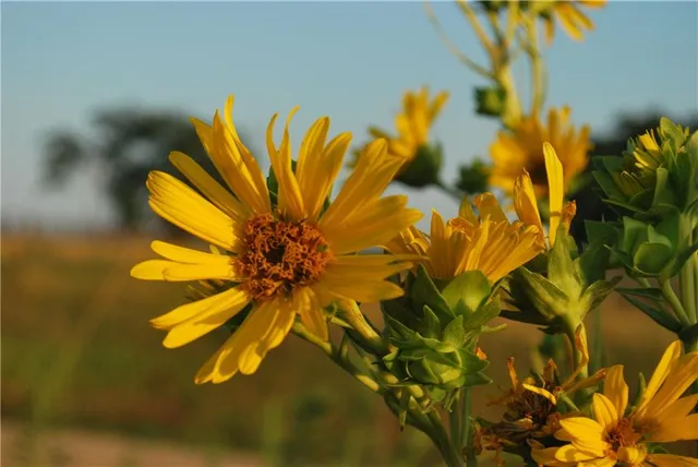 $639,400 | 0 154th Street, Valley Falls, KS 66088