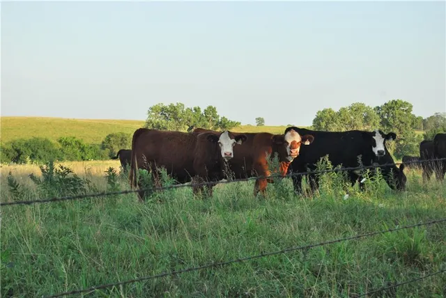 $639,400 | 0 154th Street, Valley Falls, KS 66088