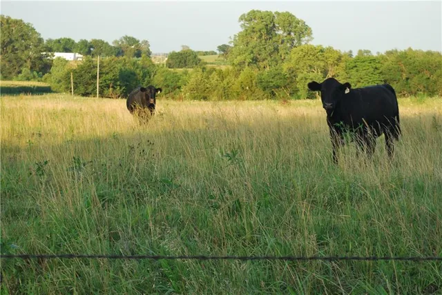 $639,400 | 0 154th Street, Valley Falls, KS 66088