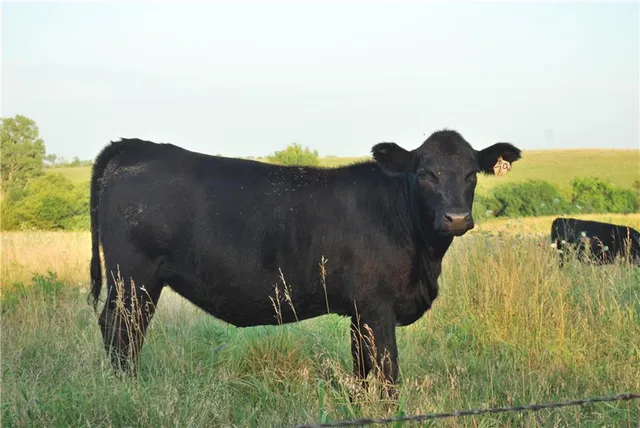 $639,400 | 0 154th Street, Valley Falls, KS 66088