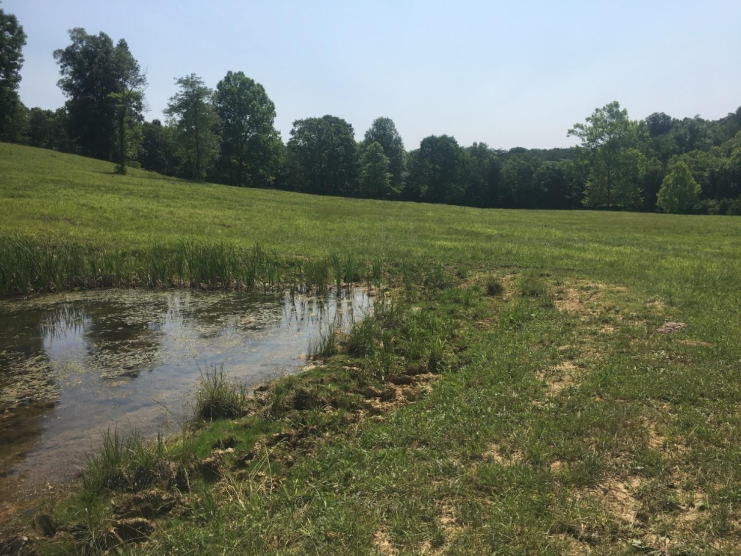 852 Blue Lick Road Berea, KY 40403 - Photo 5 of 14 Listing Photo