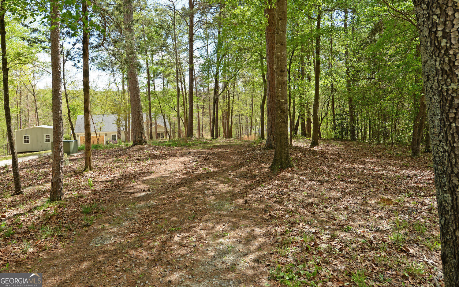 913 Paynes Creek Road, Unit LOT 11 Hartwell, GA 30643 - Photo 12 of 14 a view of outdoor space with deck and trees