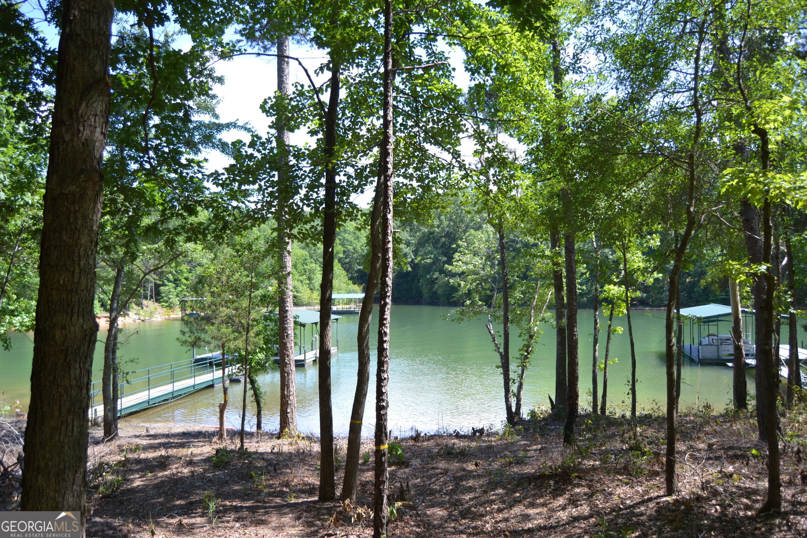 913 Paynes Creek Road, Unit LOT 11 Hartwell, GA 30643 - Photo 2 of 14 a view of lake