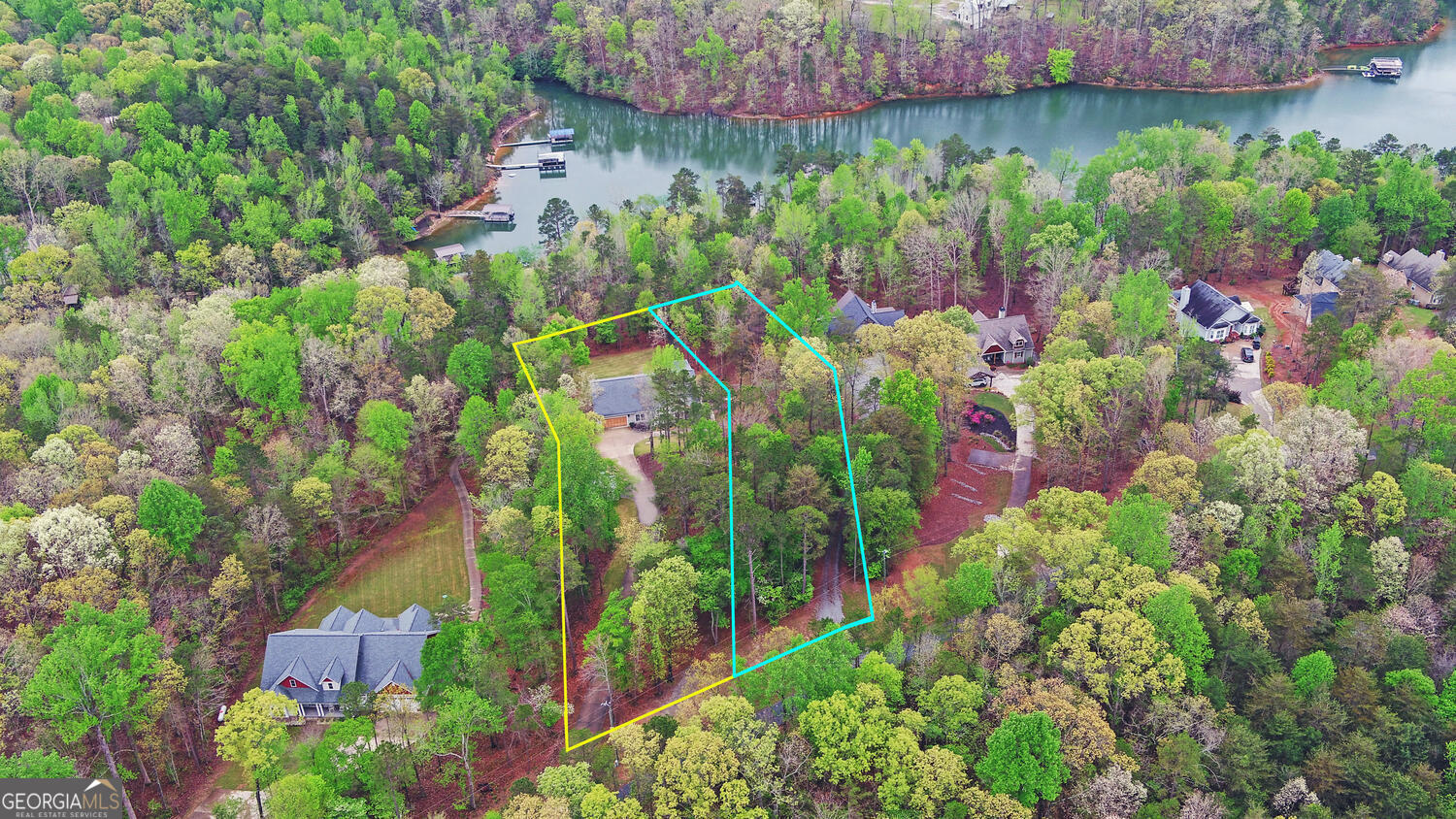 913 Paynes Creek Road, Unit LOT 11 Hartwell, GA 30643 - Photo 4 of 14 an aerial view of a garden