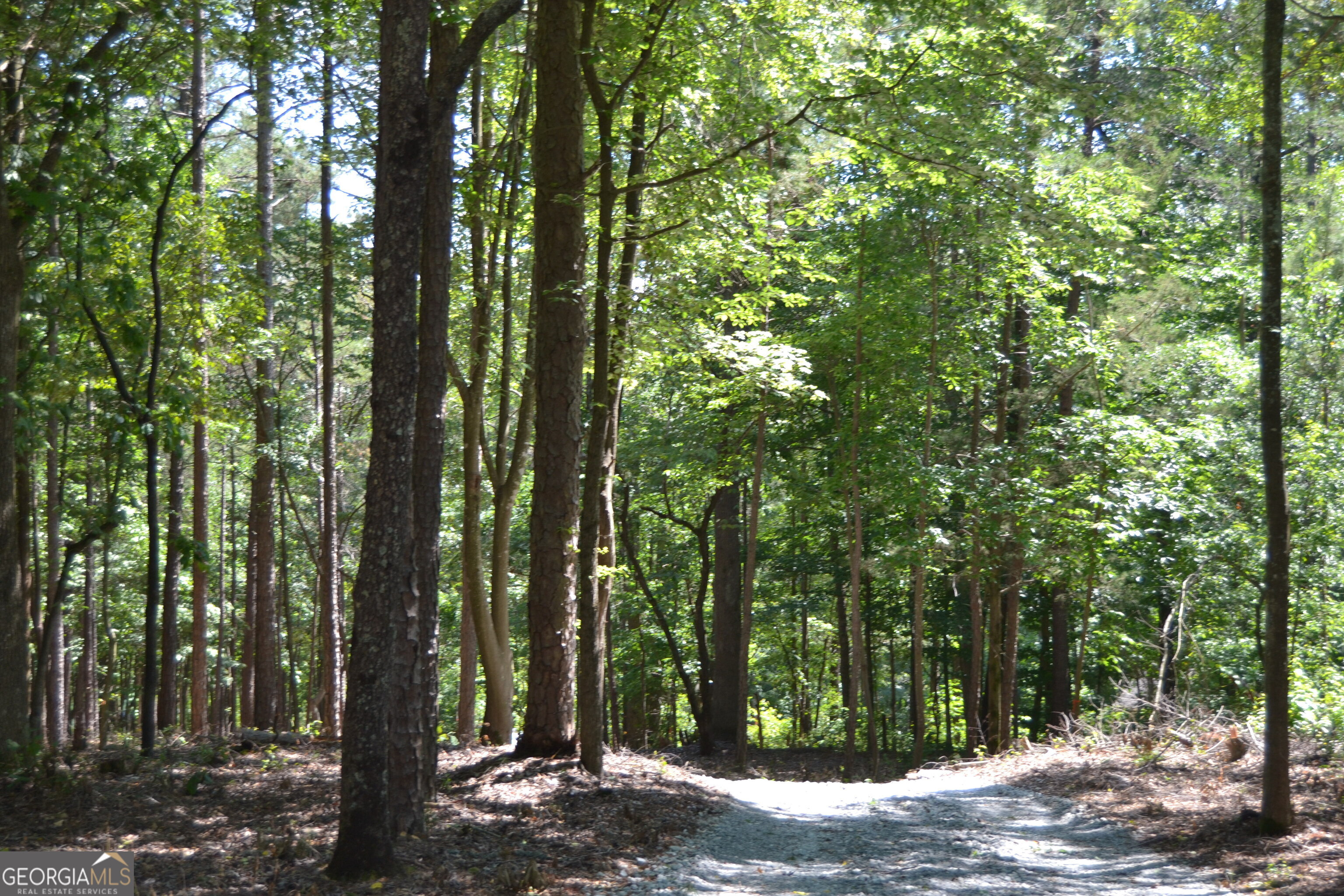 913 Paynes Creek Road, Unit LOT 11 Hartwell, GA 30643 - Photo 7 of 14 a view of outdoor space and trees