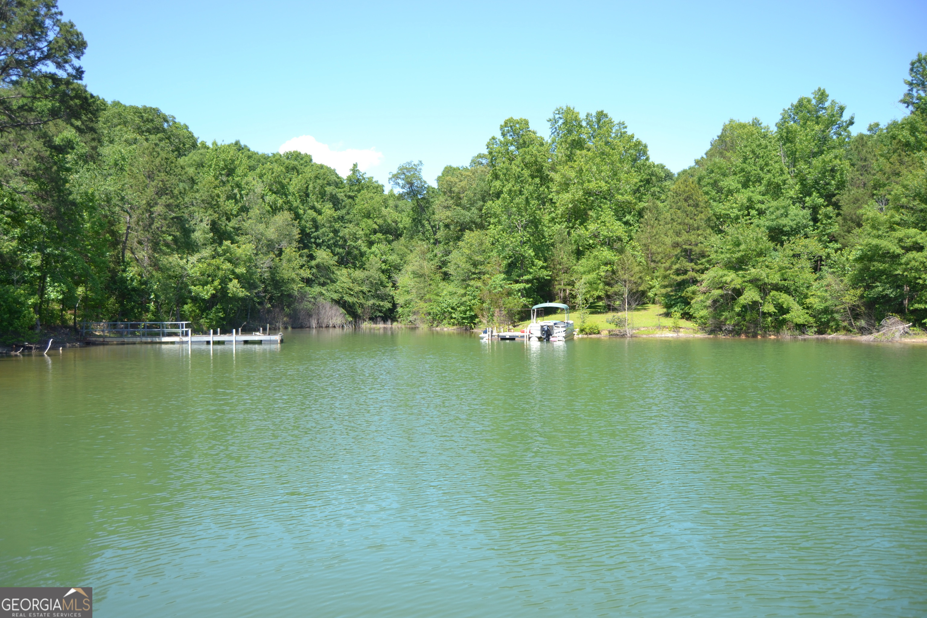 913 Paynes Creek Road, Unit LOT 11 Hartwell, GA 30643 - Photo 9 of 14 a view of lake