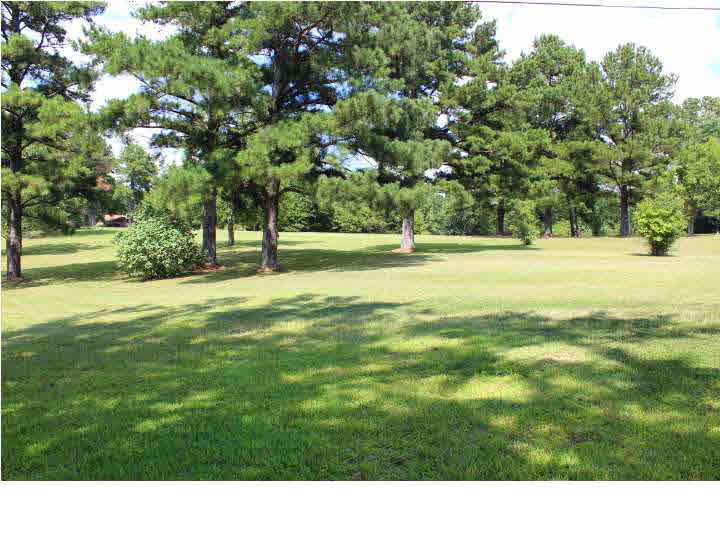 1074 West Parks Road Raymond, MS 39154 - Photo 33 of 37 Back View