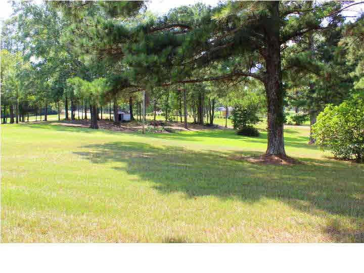 1074 West Parks Road Raymond, MS 39154 - Photo 35 of 37 Back View